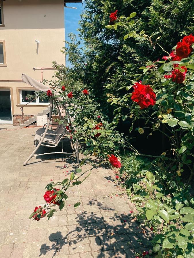 Cozy Glen Apartman Marosvásárhely Kültér fotó